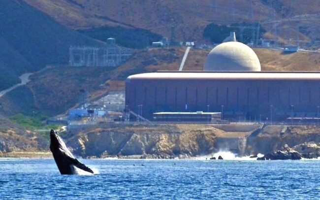 diablo_canyon_orca